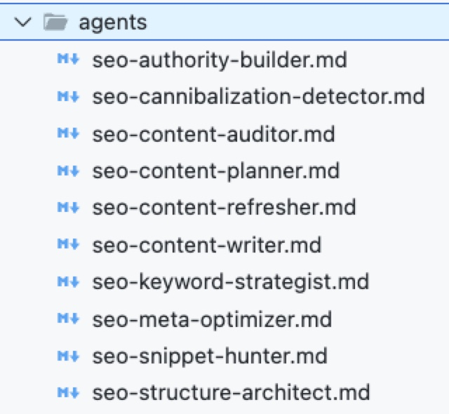 10 SEO agent files in project folder